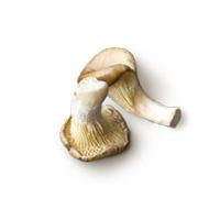 Quality of ingredients - dobrakaloria.pl
